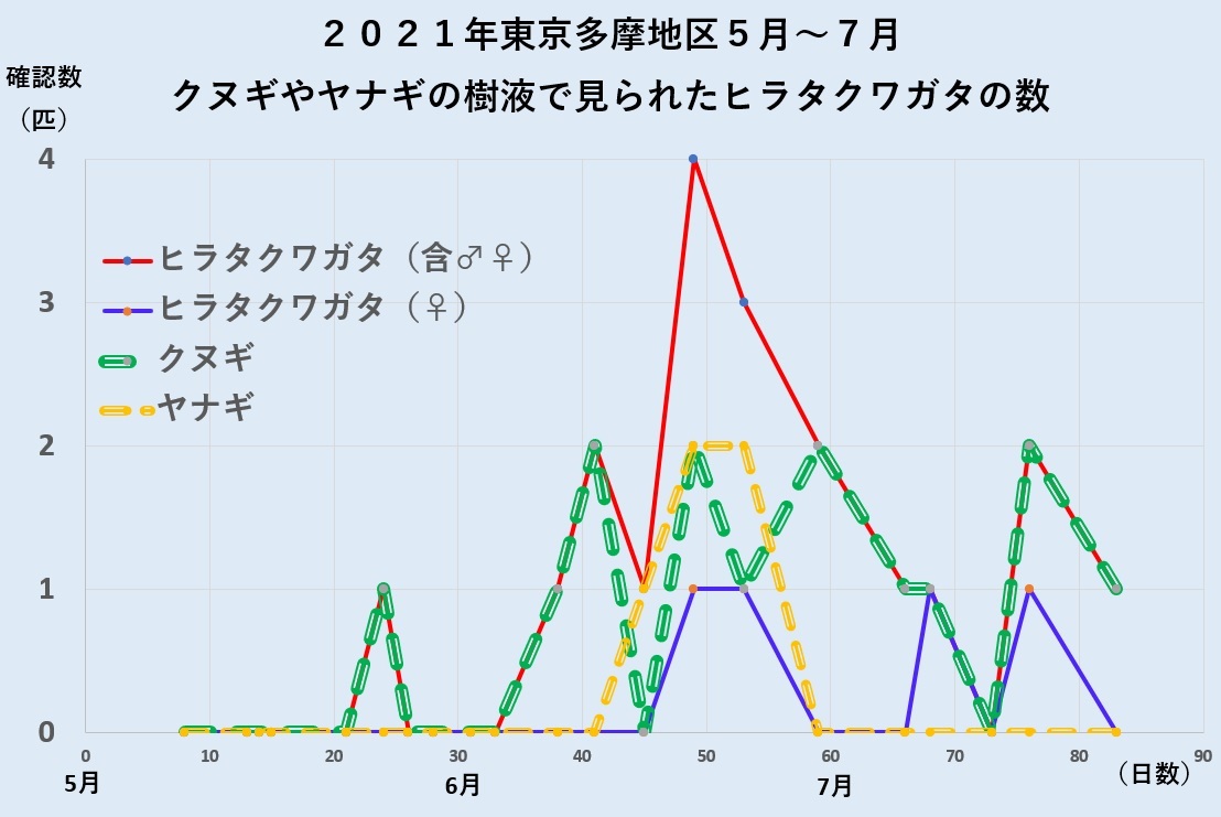 2021年5月8日～7月22日 東京（多摩地域）のクヌギやヤナギ等の樹液で見られたヒラタクワガタの数_210727by昆虫バカセ